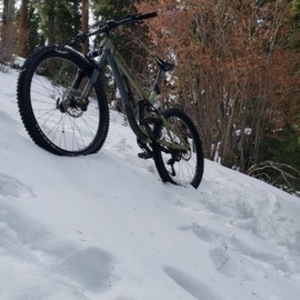 2020 Fuji Fuji auric 1.5 /27.5 Green