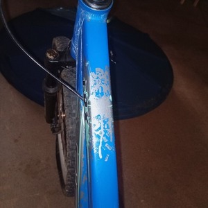 2014 Gios Dirt Jump Blue