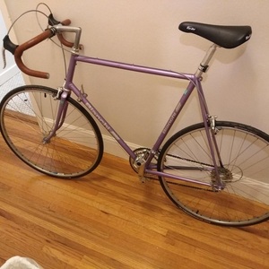 1986 Bianchi Limited Purple