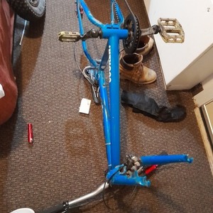 Volt Bike Change Blue