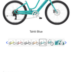 2023 Electra Towniego Blue