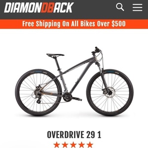 Diamondback Overdrive 29 1 Silver, gray or bare metal