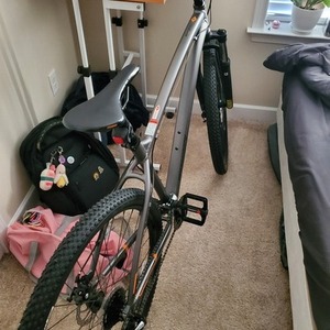 Diamondback Overdrive 29 1 Silver, gray or bare metal