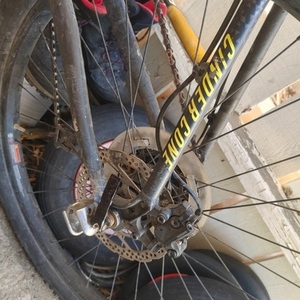 2022 Kona Cinder cone Silver, gray or bare metal and Yellow or Gold