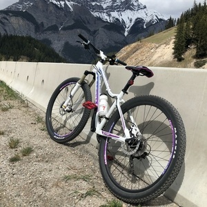 2024 Giant Tempt 2 White and Purple