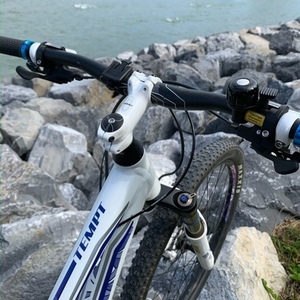 2024 Giant Tempt 2 White and Purple