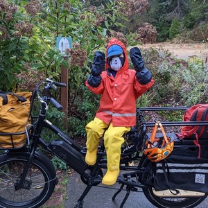 2022 Rad Power Bikes Rad Wagon Black