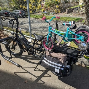 2022 Rad Power Bikes Rad Wagon Black