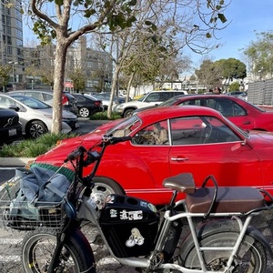 2021 Rad Power Bikes RadRunner Plus - Silver Silver, gray or bare metal