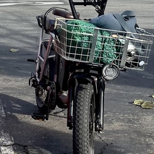 2021 Rad Power Bikes RadRunner Plus - Silver Silver, gray or bare metal