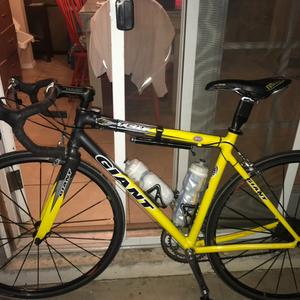 Giant TCR Yellow or Gold