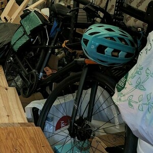 2021 Giant liv alight 2 disc Black
