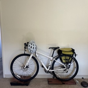 2020 Salsa Journeyman Sora White