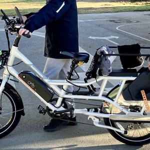 2021 Rad Power Bikes RadWagon4 White