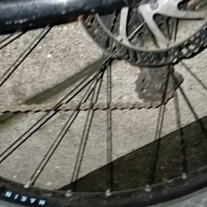 2023 Marin Bikes Wildcat trail three Black and Teal