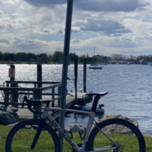 2018 Specialized Allez Sprint Comp Silver, gray or bare metal