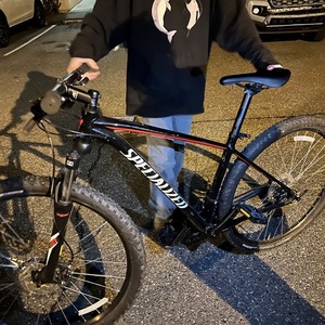 Specialized Rockhopper 29 Black