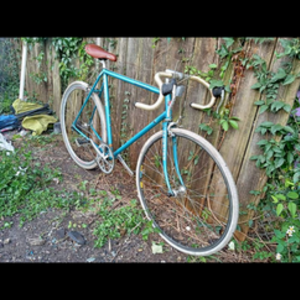 Schwinn Blue