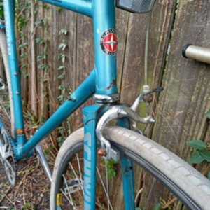 Schwinn Blue