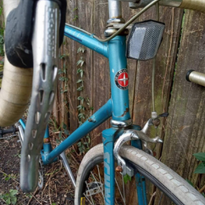 Schwinn Blue
