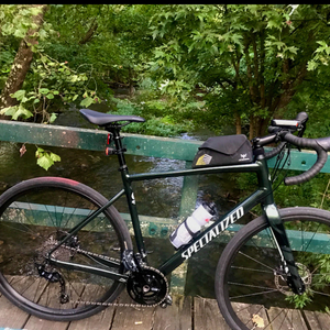 2021 Specialized Diverge Green