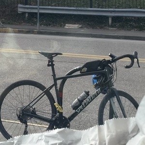 2021 Specialized Diverge Green