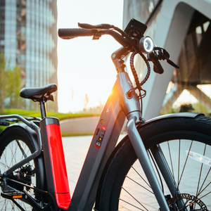 Niu BQi-C3 Pro Black and Red