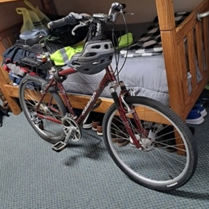 Raleigh SC40 Red