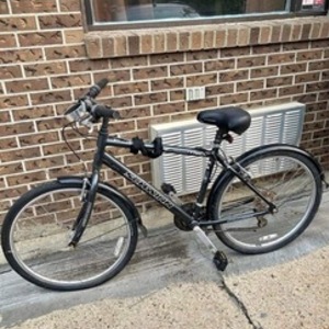 2010 Schwinn Black