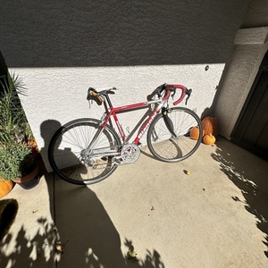 Bianchi Eros Red and Silver, gray or bare metal