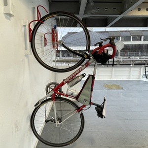 Bianchi Eros Red and Silver, gray or bare metal