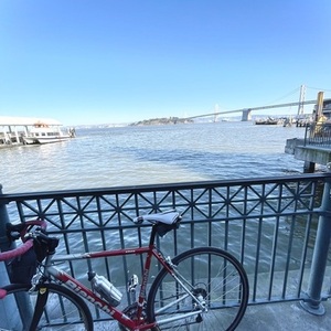 Bianchi Eros Red and Silver, gray or bare metal