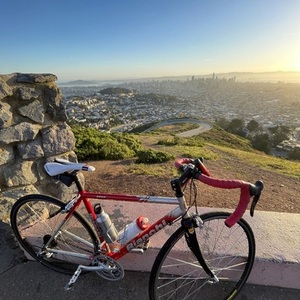 Bianchi Eros Red and Silver, gray or bare metal