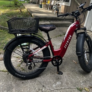 2023 Aventón aventon aventure rear rack Red
