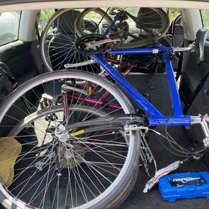 Specialized Sirius sport Blue