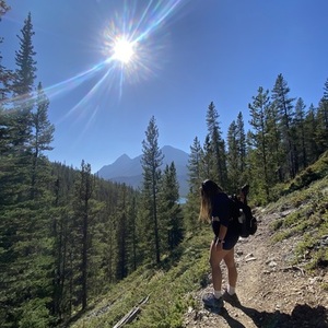 Specialized Sirius sport Blue