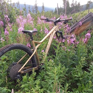 2022 Orbea H30 Laufey Yellow or Gold