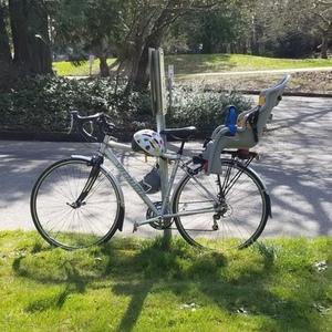 Specialized Sequoia Silver, gray or bare metal