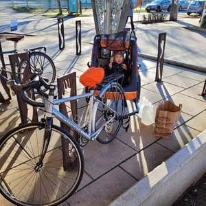 Specialized Sequoia Silver, gray or bare metal