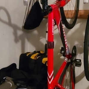 2016 Specialized Langster Pro Red