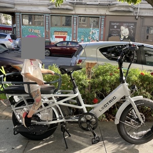 2023 Lectric eBikes XPedition White
