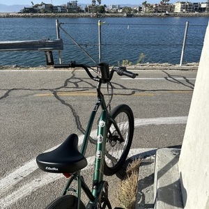 2023 Electra Townie Go Green