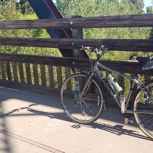 2016 Trek Silver, gray or bare metal