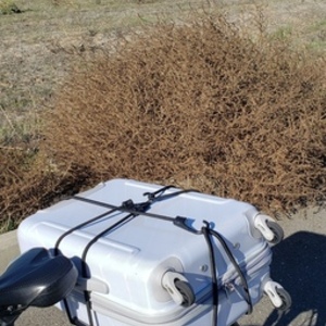 2016 Trek Silver, gray or bare metal