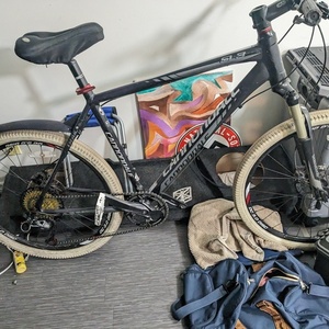 Cannondale Trail Sl 3 Black