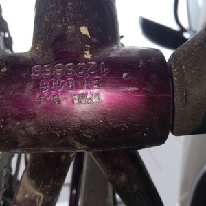 1995 Trek Purple