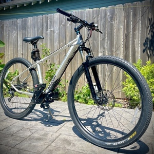 2012 Raleigh Talus 29 Silver, gray or bare metal and Blue