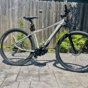 2012 Raleigh Talus 29 Silver, gray or bare metal and Blue