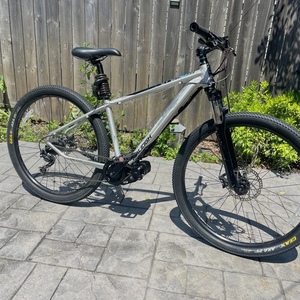 2012 Raleigh Talus 29 Silver, gray or bare metal and Blue