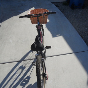 Mongoose Black and Pink